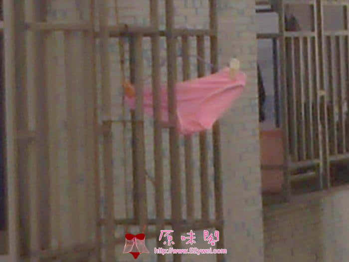 201004261291.jpg