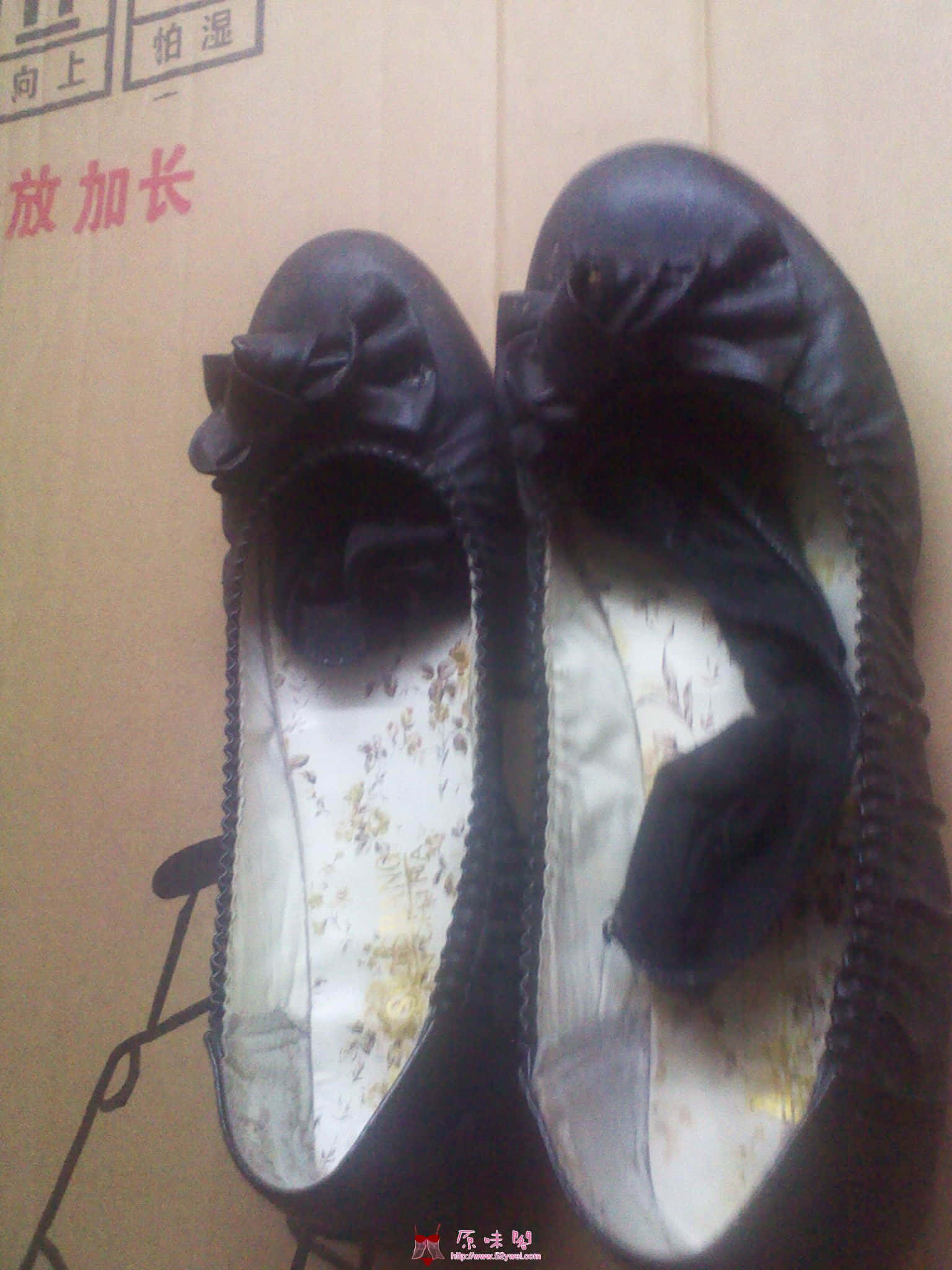 IMG_20120621_133955.jpg