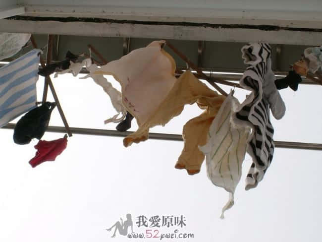 1总览.JPG