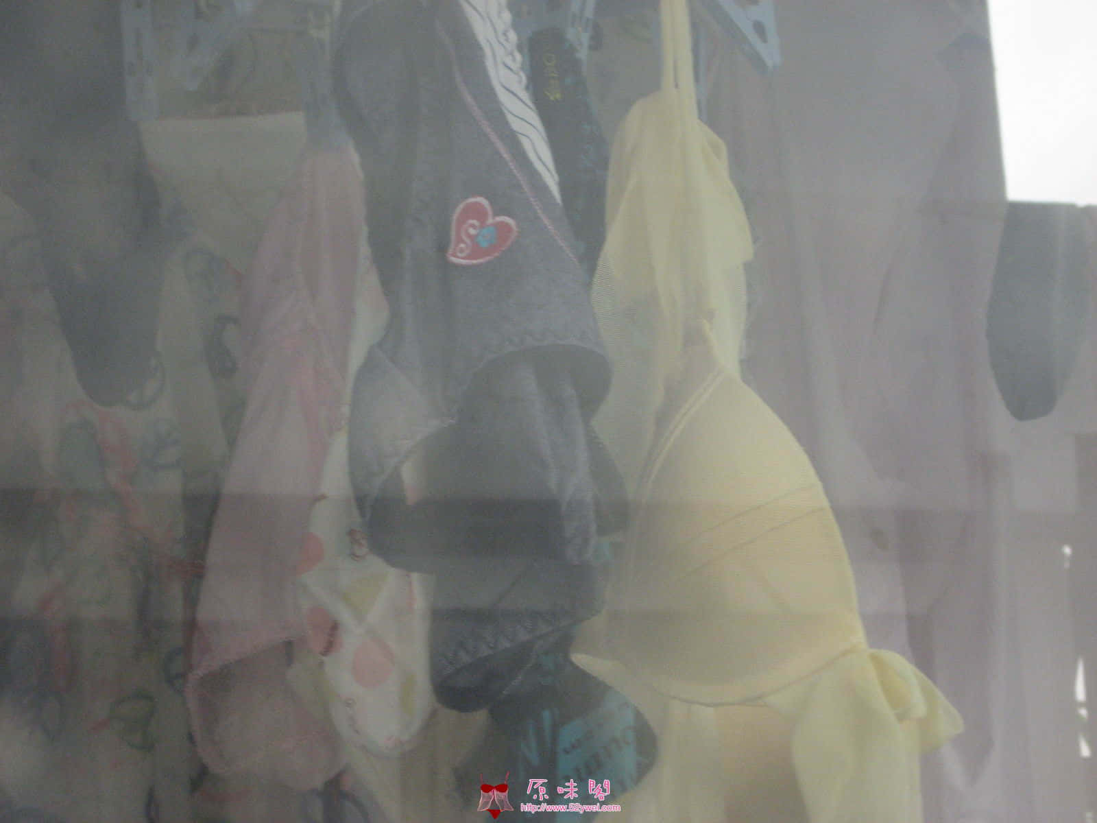 照片 004.jpg