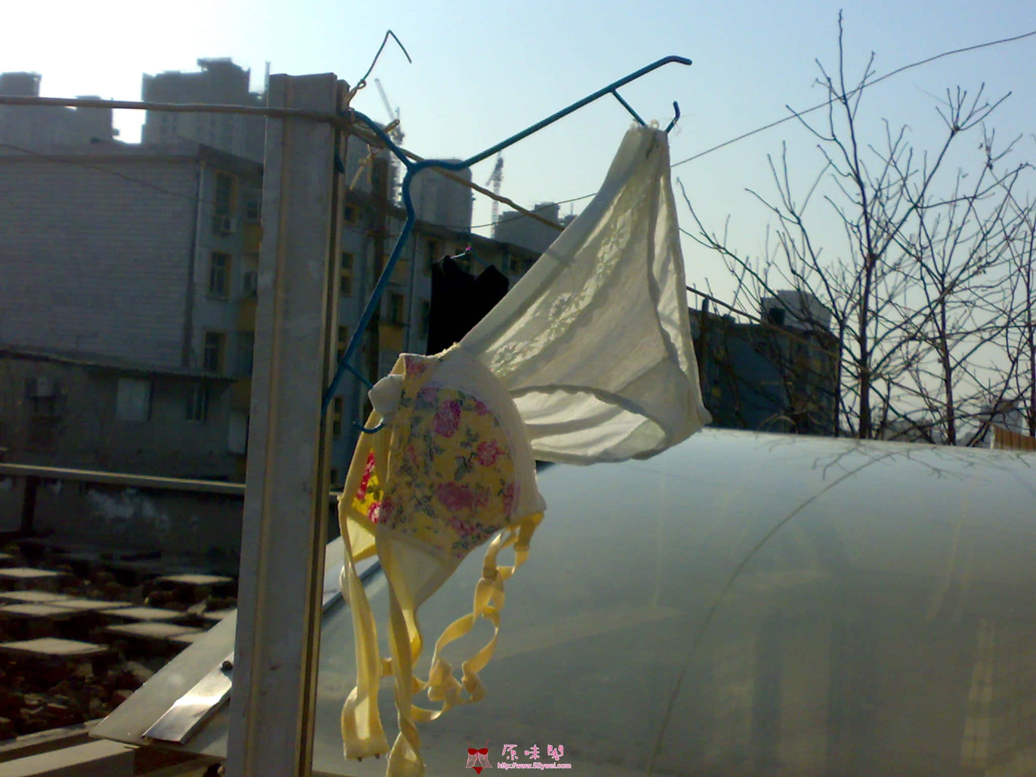 20100123088.jpg