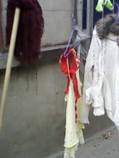 IMG0197B.jpg