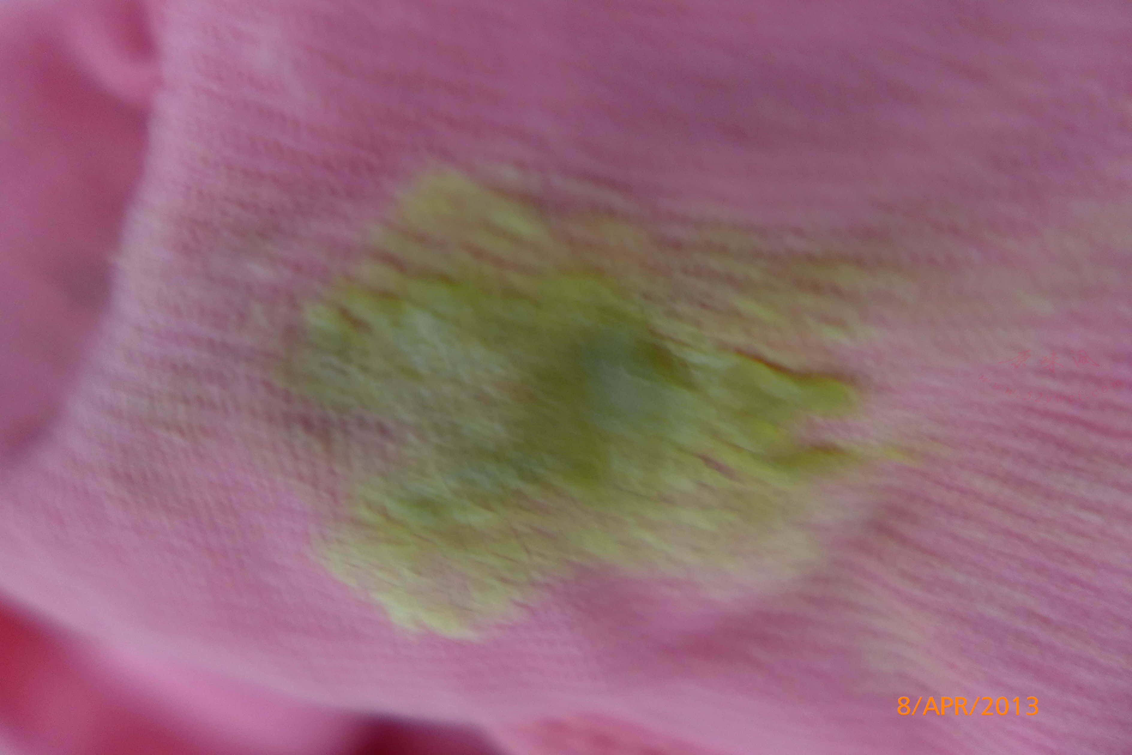 P1000043.JPG
