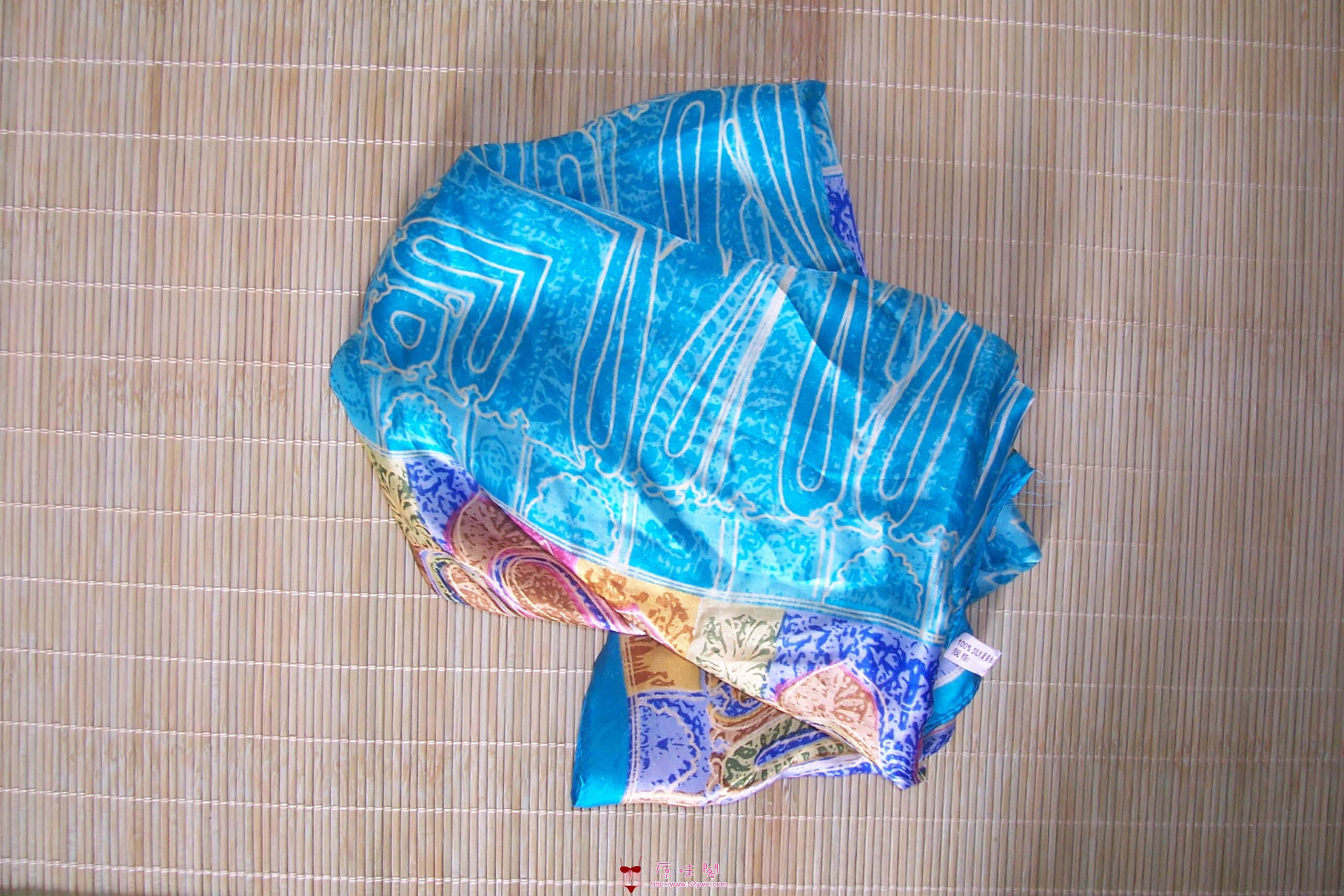 100_6485.JPG