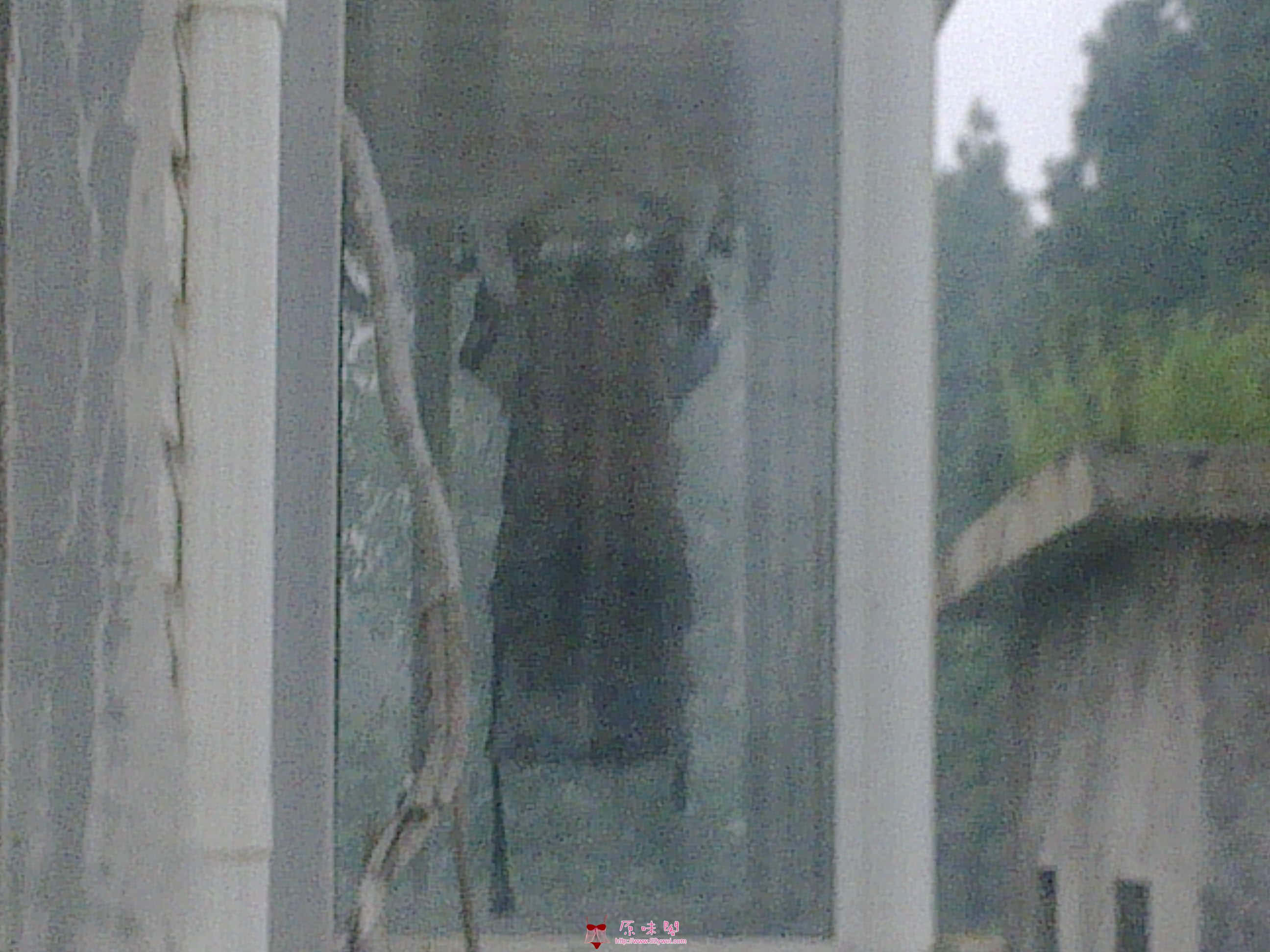 20110801286.jpg
