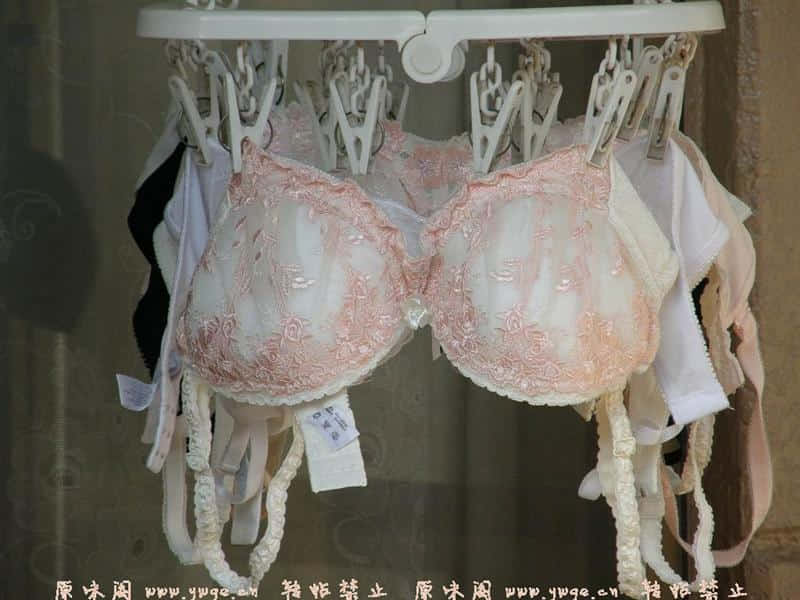 006.jpg