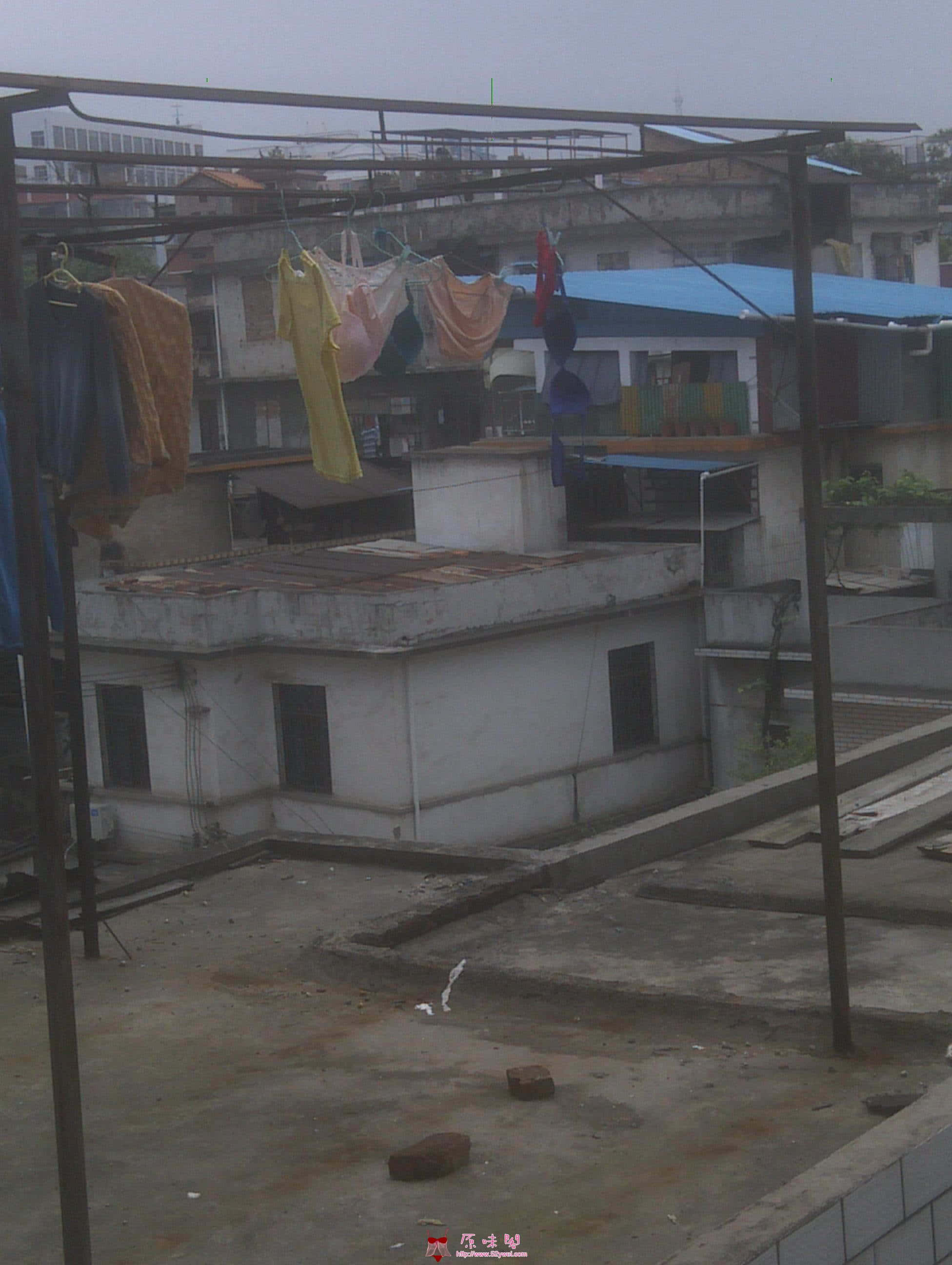 IMAG0182.jpg