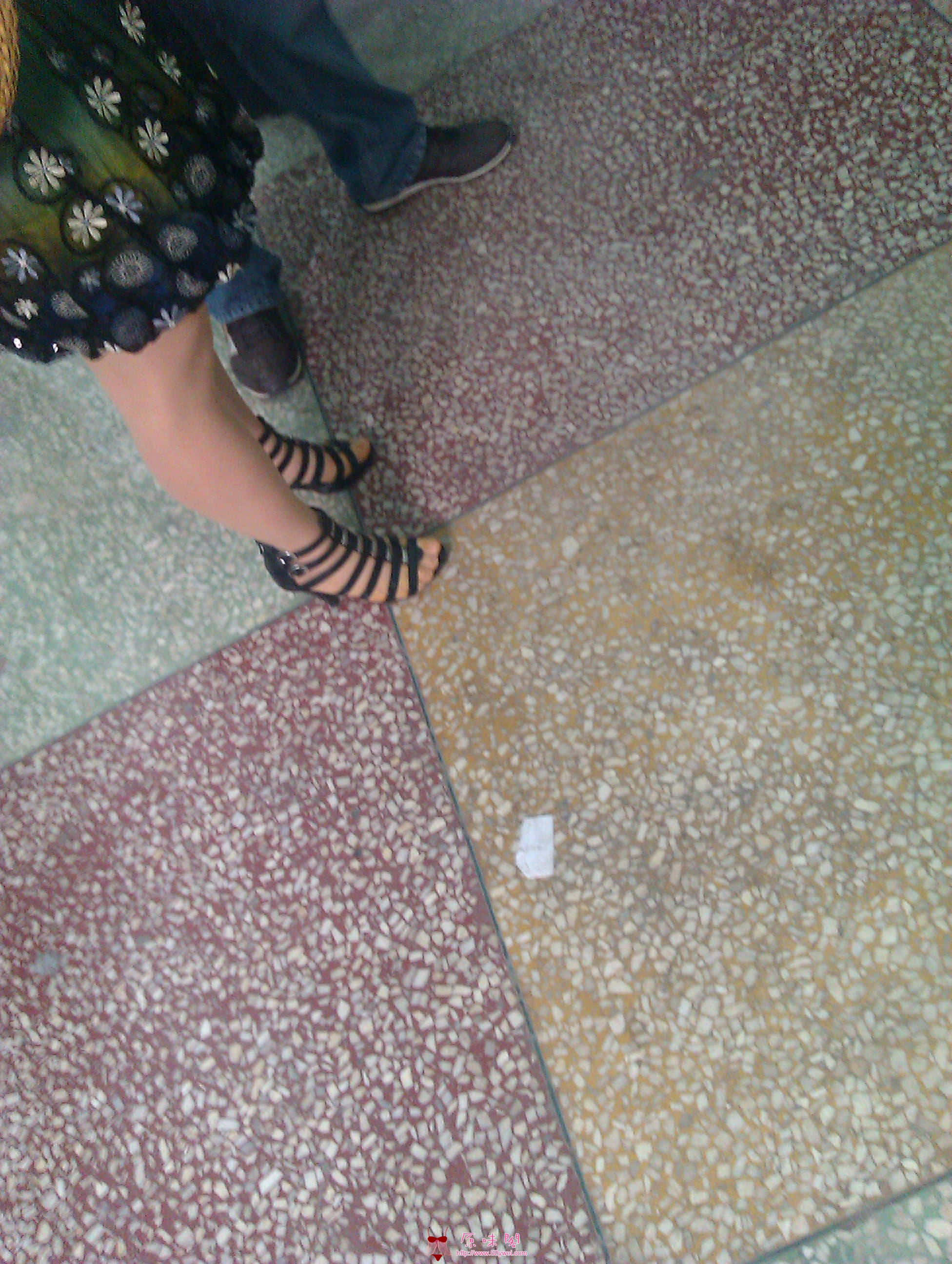 IMAG0269.jpg
