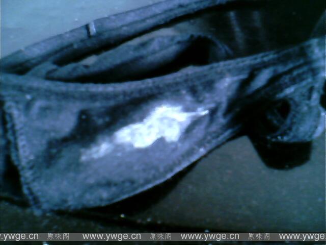 IMG1351A.jpg