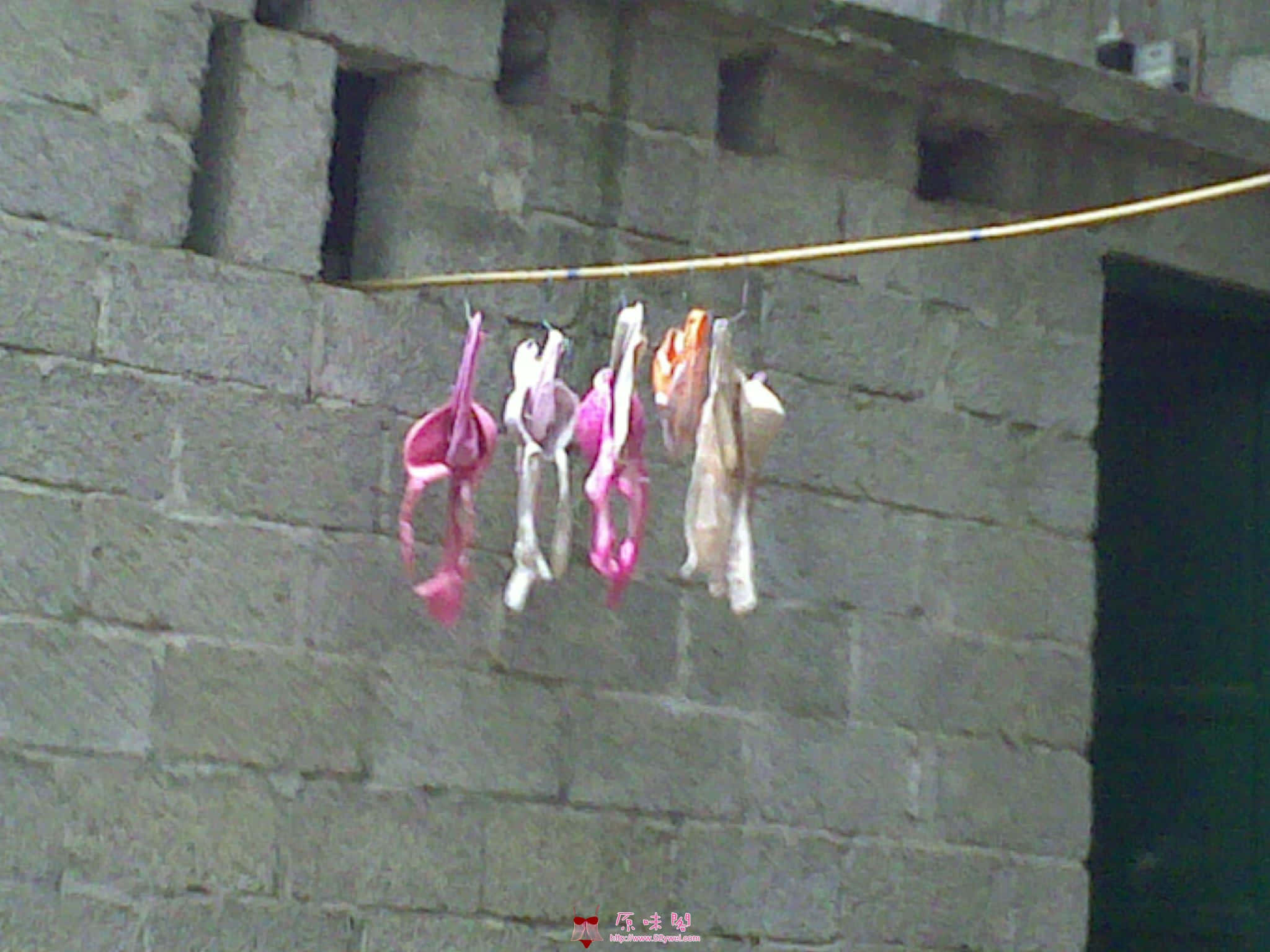 201003311207.jpg