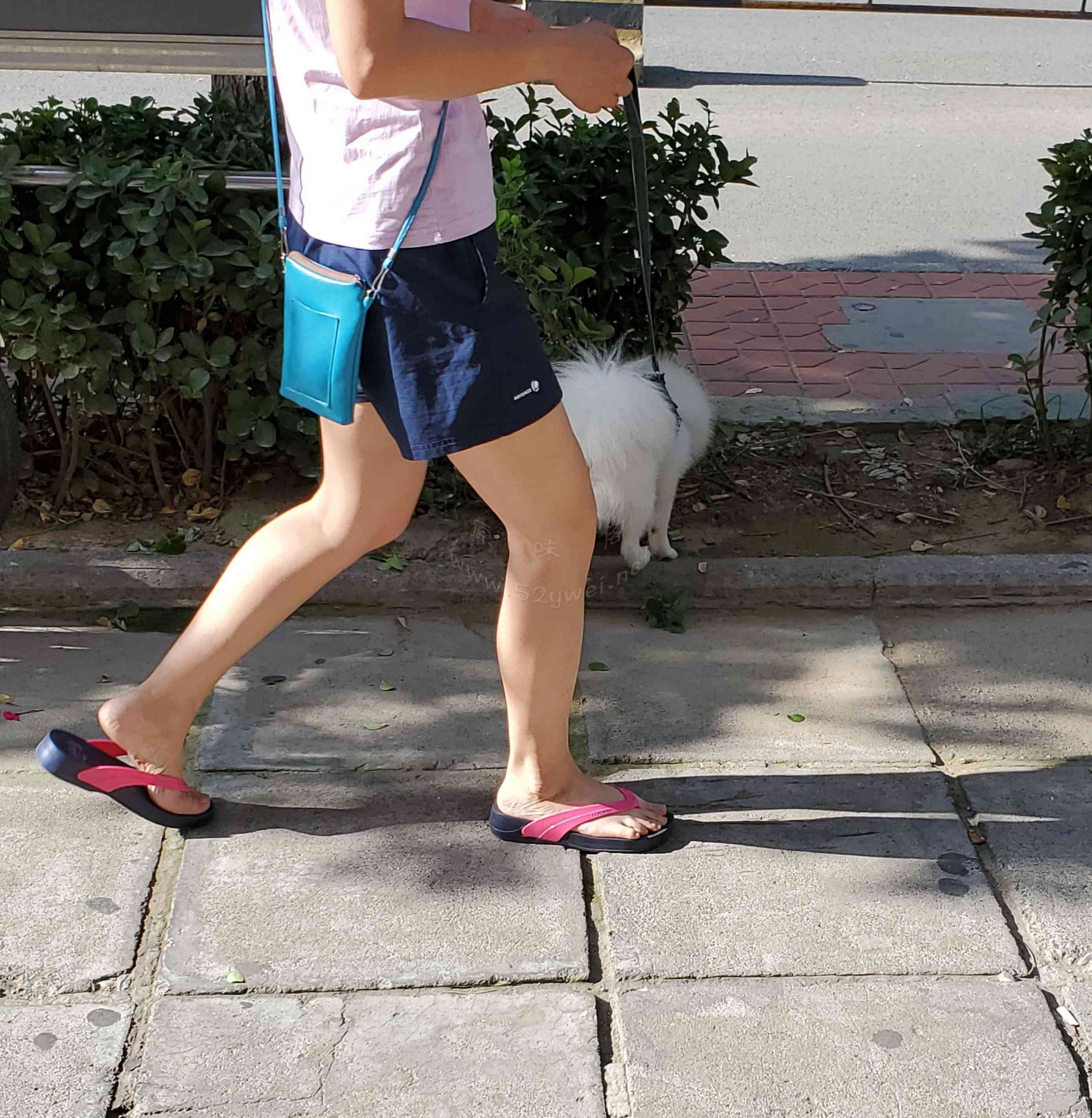 20190725_123343.jpg