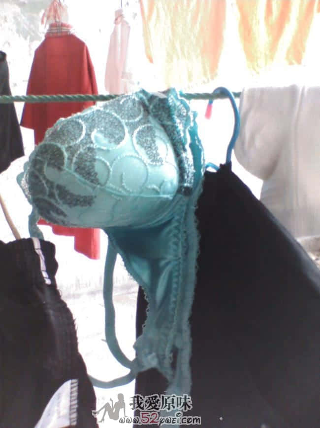 IMG032.JPG