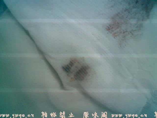 20071226(004).jpg