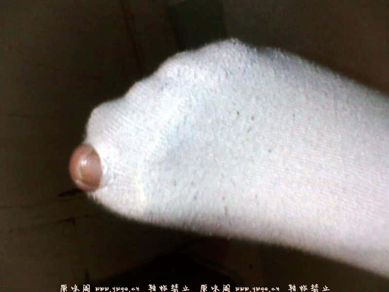 小荷才露尖尖角(老婆的)