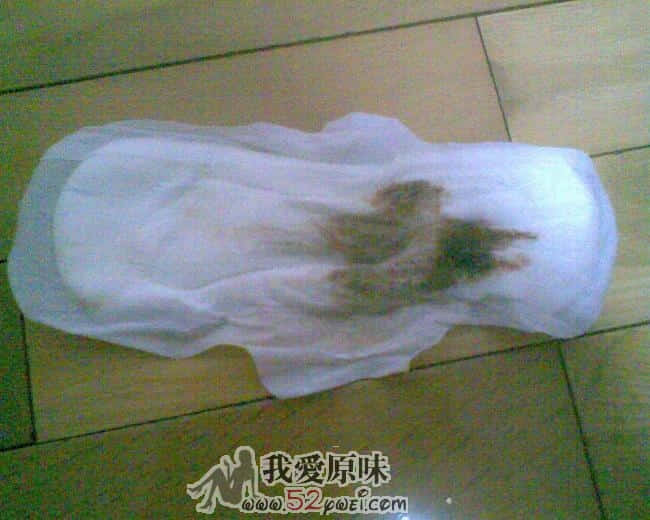 图像009.jpg