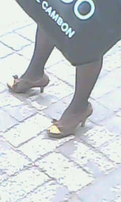 IMG0208A.jpg