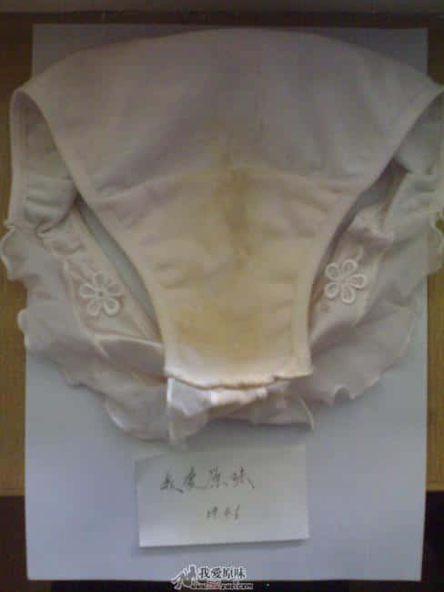 20090406240.jpg