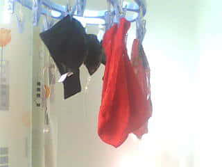 IMG0297A.jpg