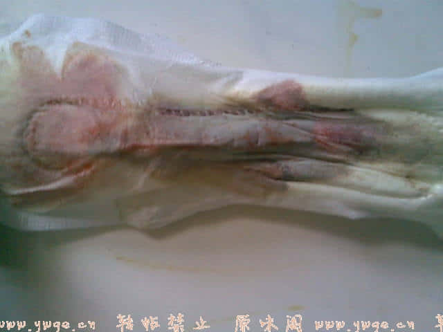 20071230(005).jpg