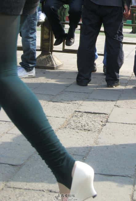 IMG_2869.jpg