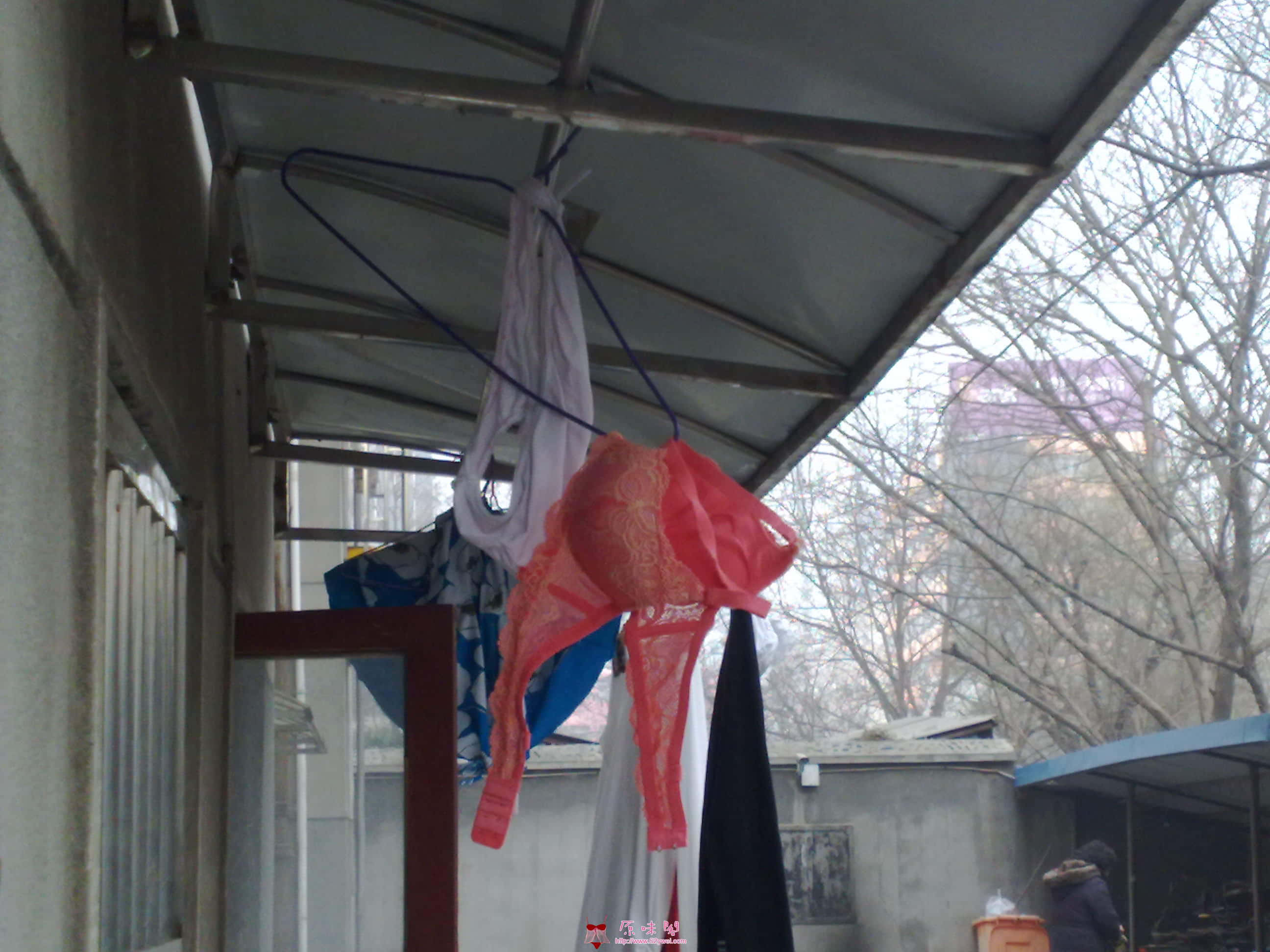 20100104099.jpg
