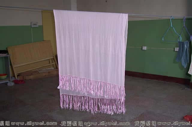 100_2448.jpg