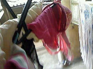 IMG1117091801.jpg