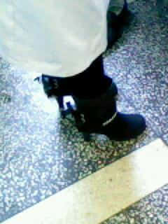 IMG0366A.jpg