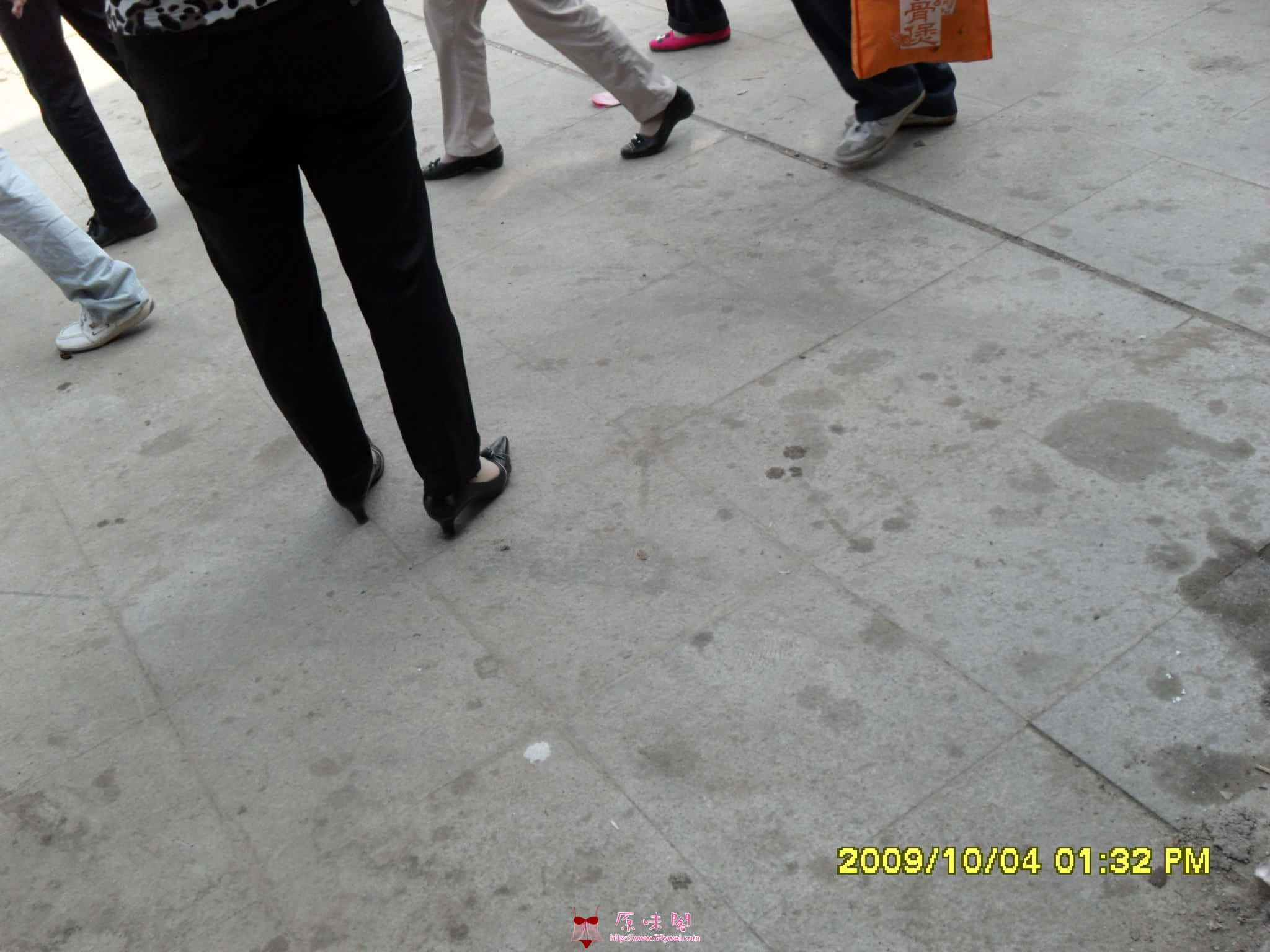 SDC10982.JPG