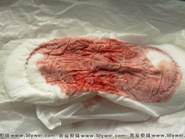 DSCN2479.jpg