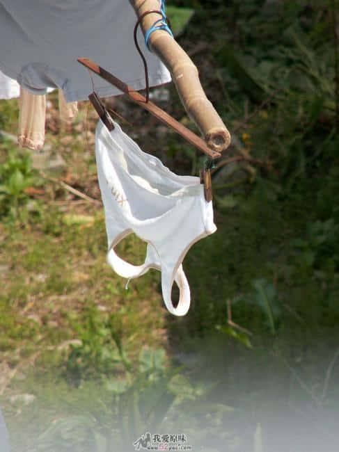 PICT7056.JPG